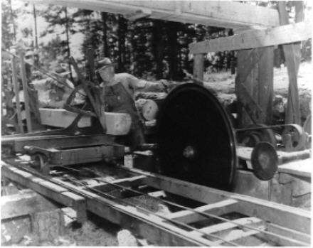 will_sawing (29K)