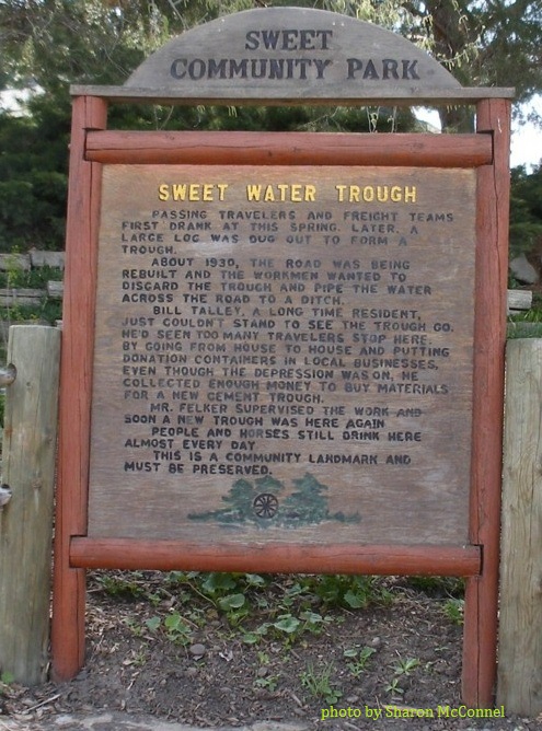 trough sign
