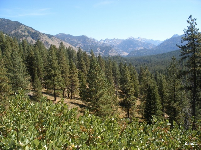 Banner Summit