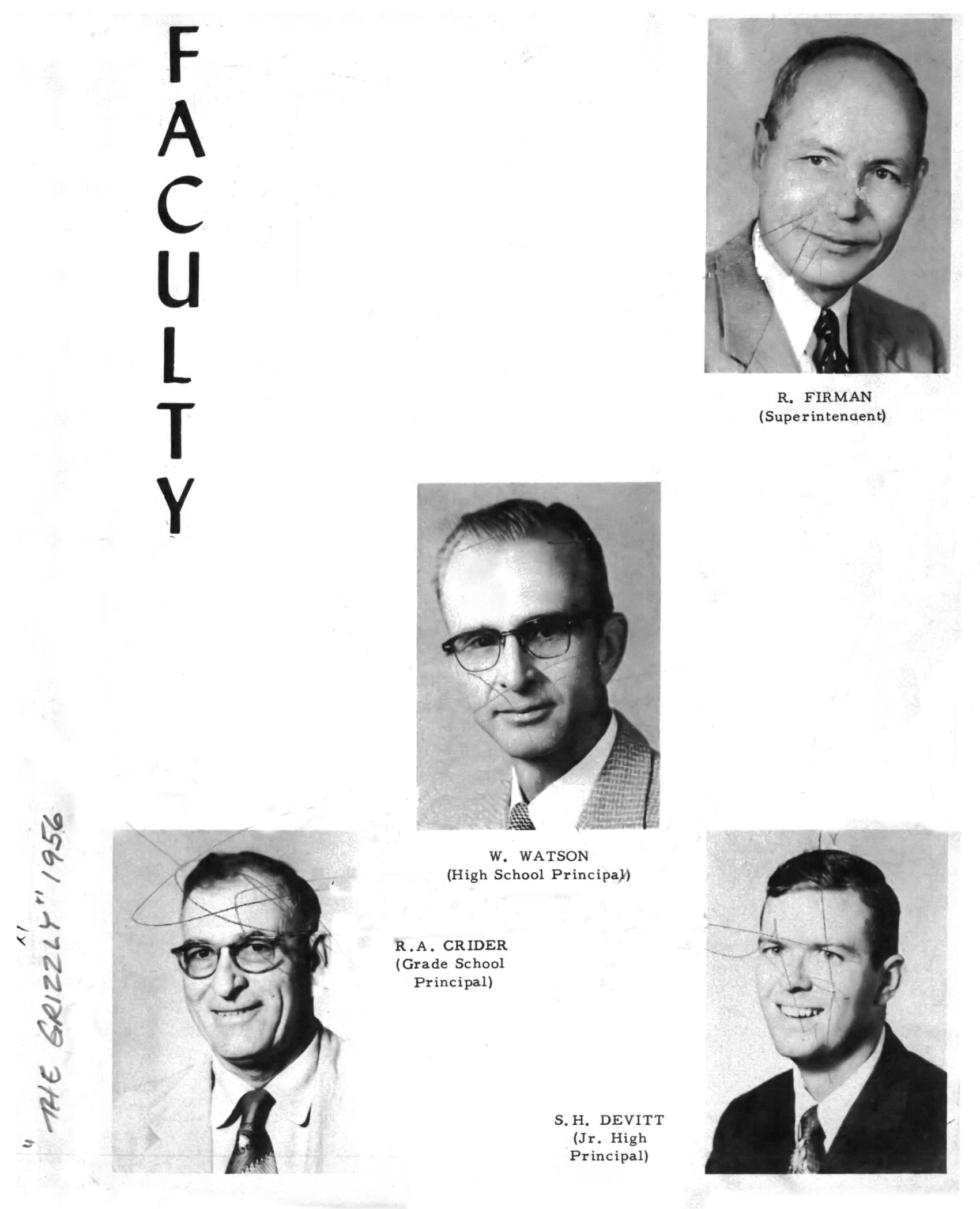 annual image