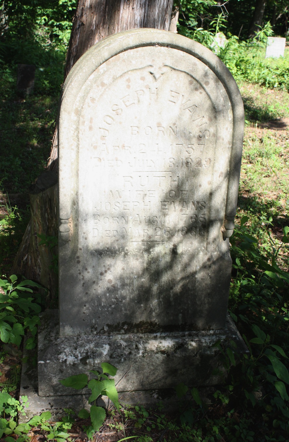 Joseph Evans