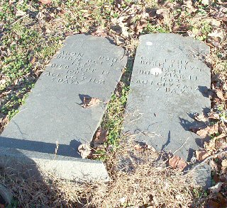 Aron and C. J. Polly