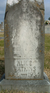 Alice
      Watkins