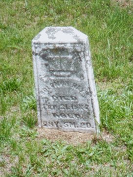 Solomon Hays
