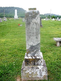 James T. Robbins