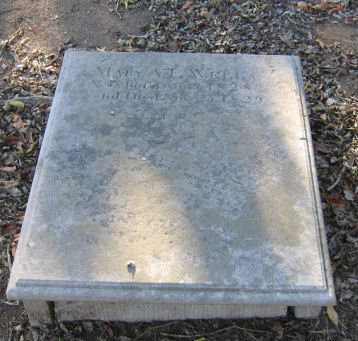 Mary A. L. Wells