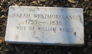 Sarah Wells