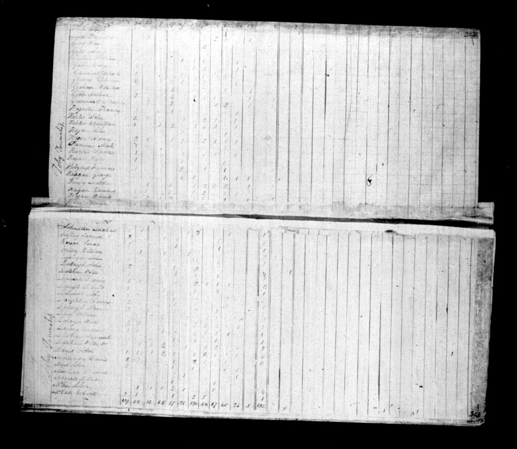 Armstrong County PA Census - Page 302-303