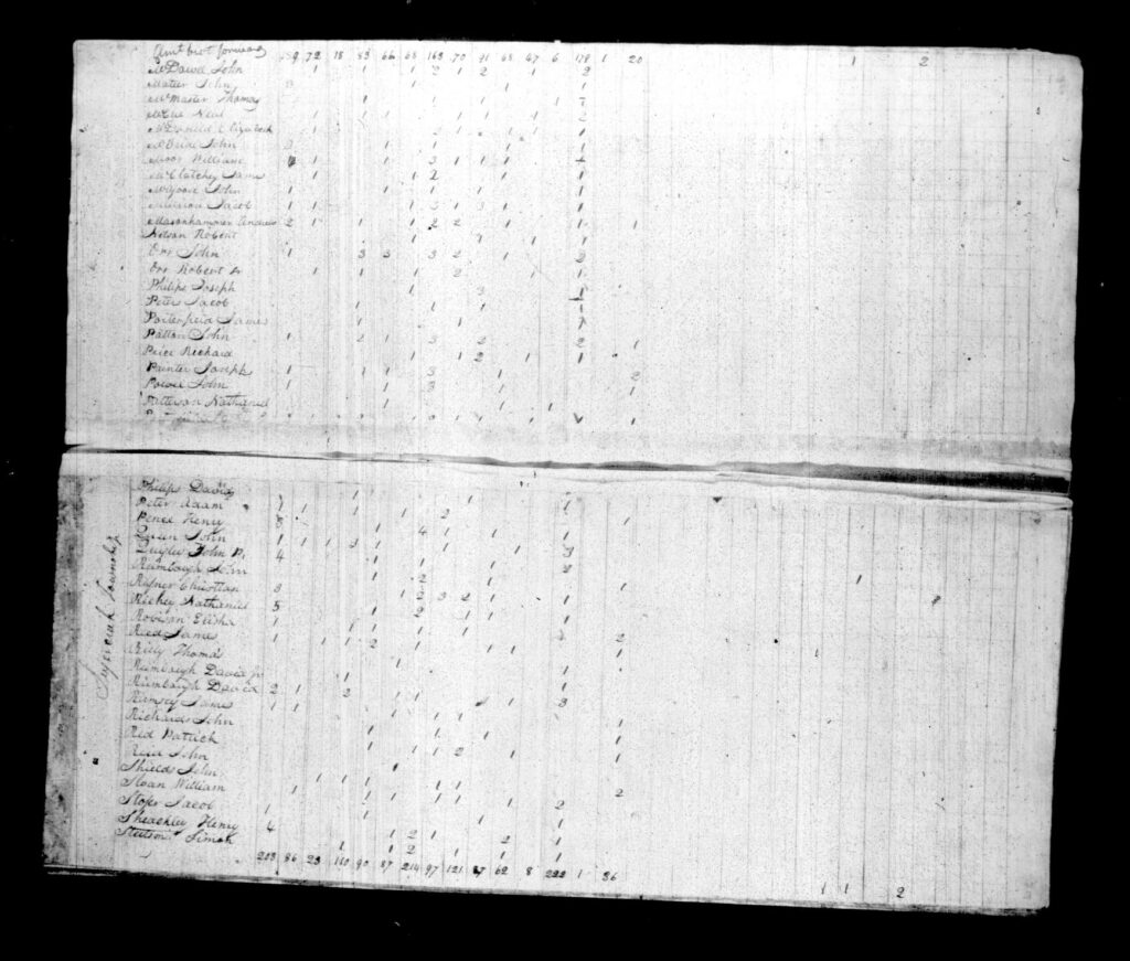 Armstrong County PA Census - Page 316-317